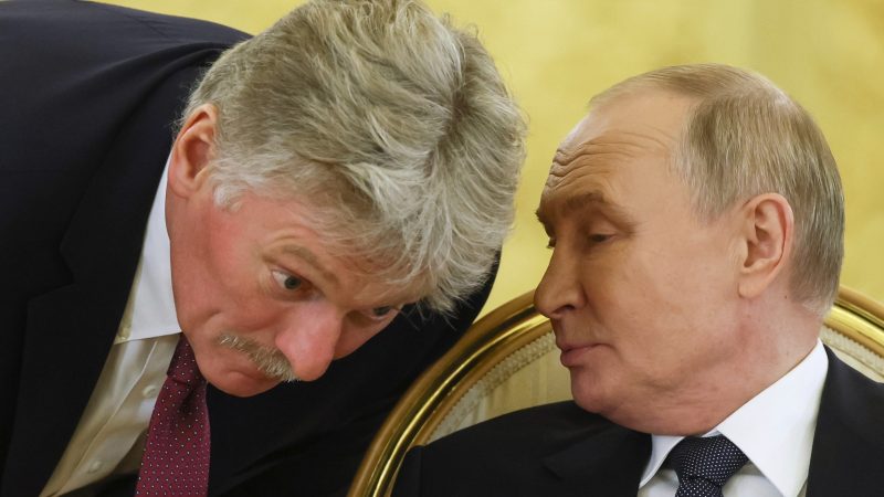 В Кремле заявили о необходимости изучить идею налога на бездетность
