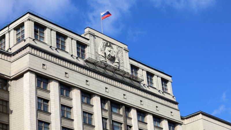 Володин пообещал, что налог на бездетность вводить не будут